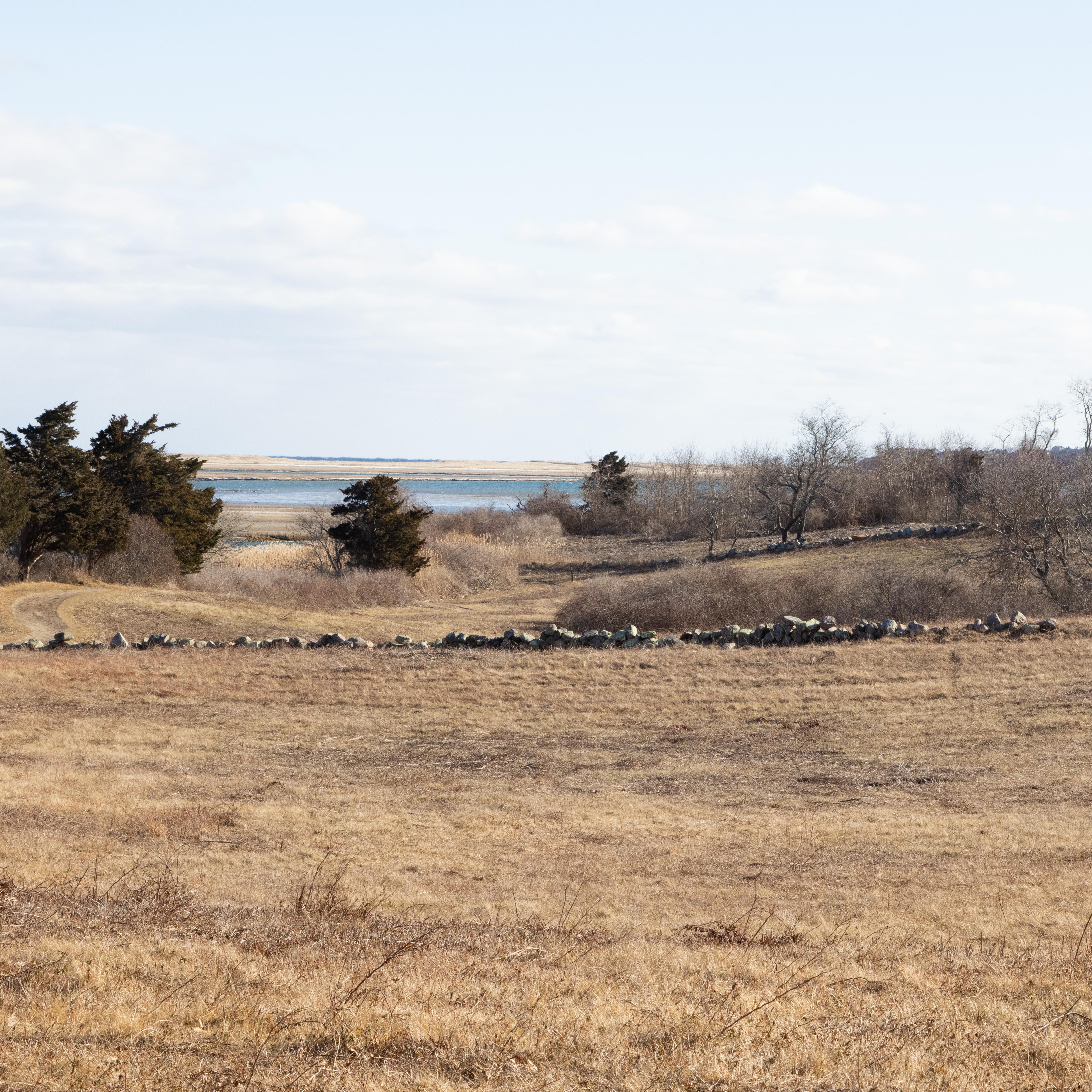 An image of a brown grassy hill with the ocean visible in the distance and a stone wall.