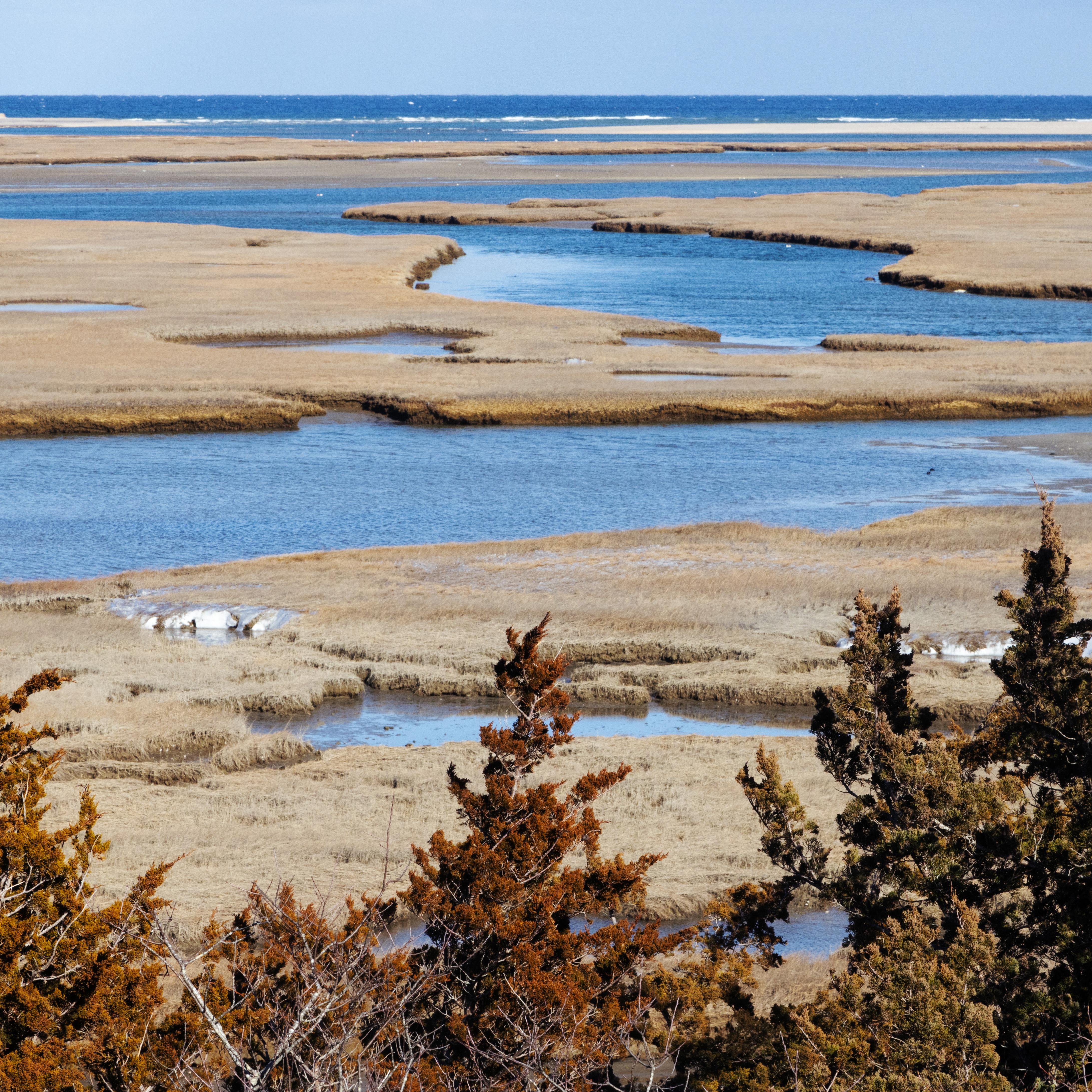 A landscape showing a salt marsh and then further out an ocean.