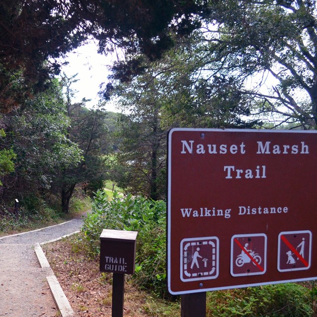 A brown sign directs people down some log stairs to a path beside a pond.