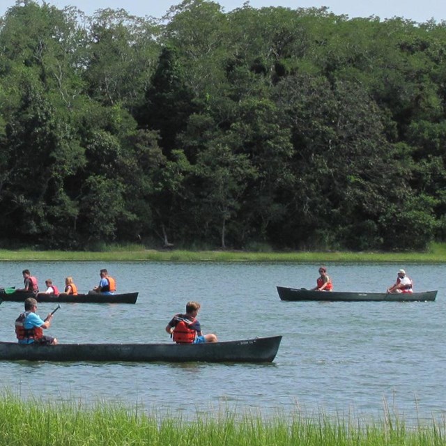Several canoes with occupants in life vests glide across a clam pond surface under a blue sky.