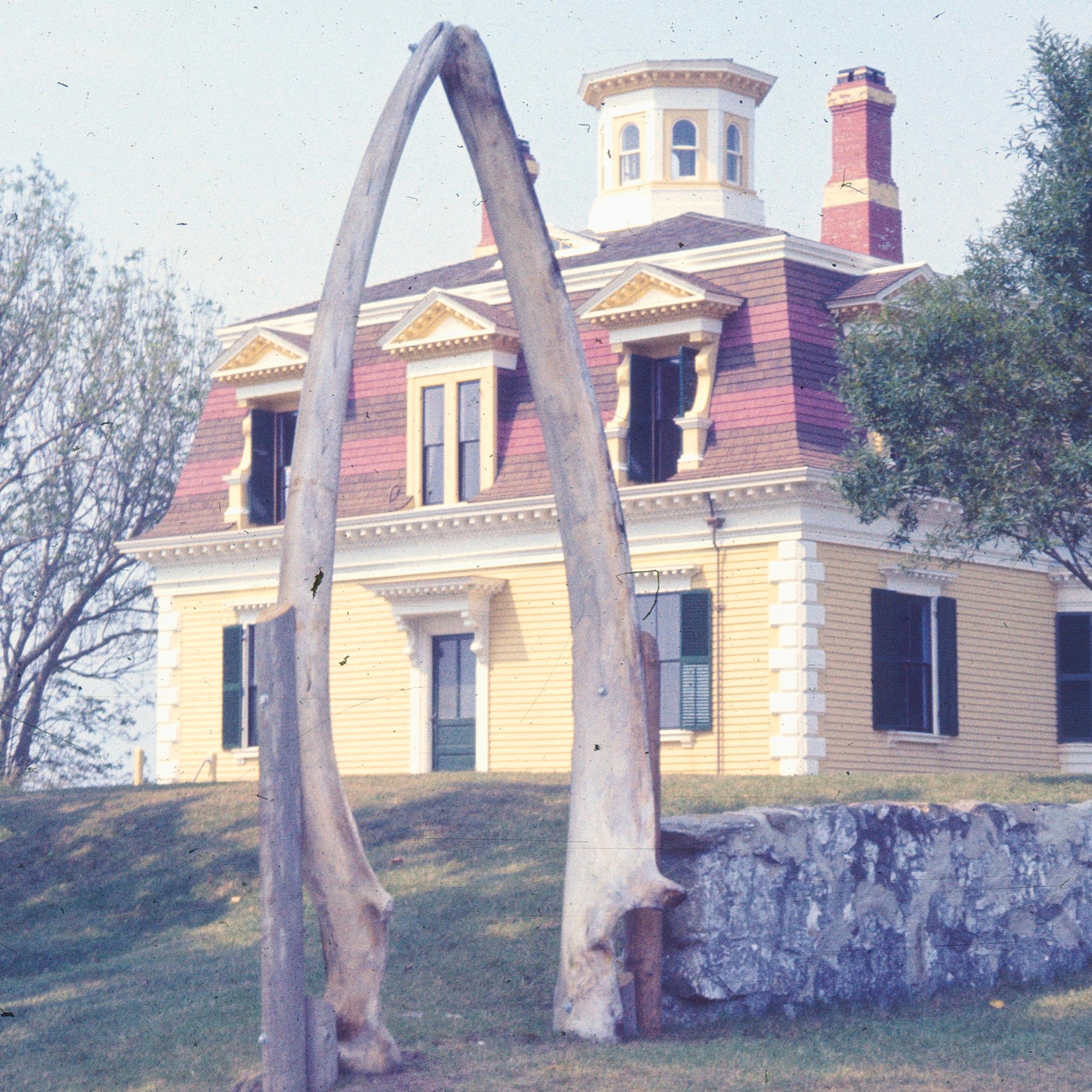 A red and yellow house and its yard is visible, including a whale bone arch.