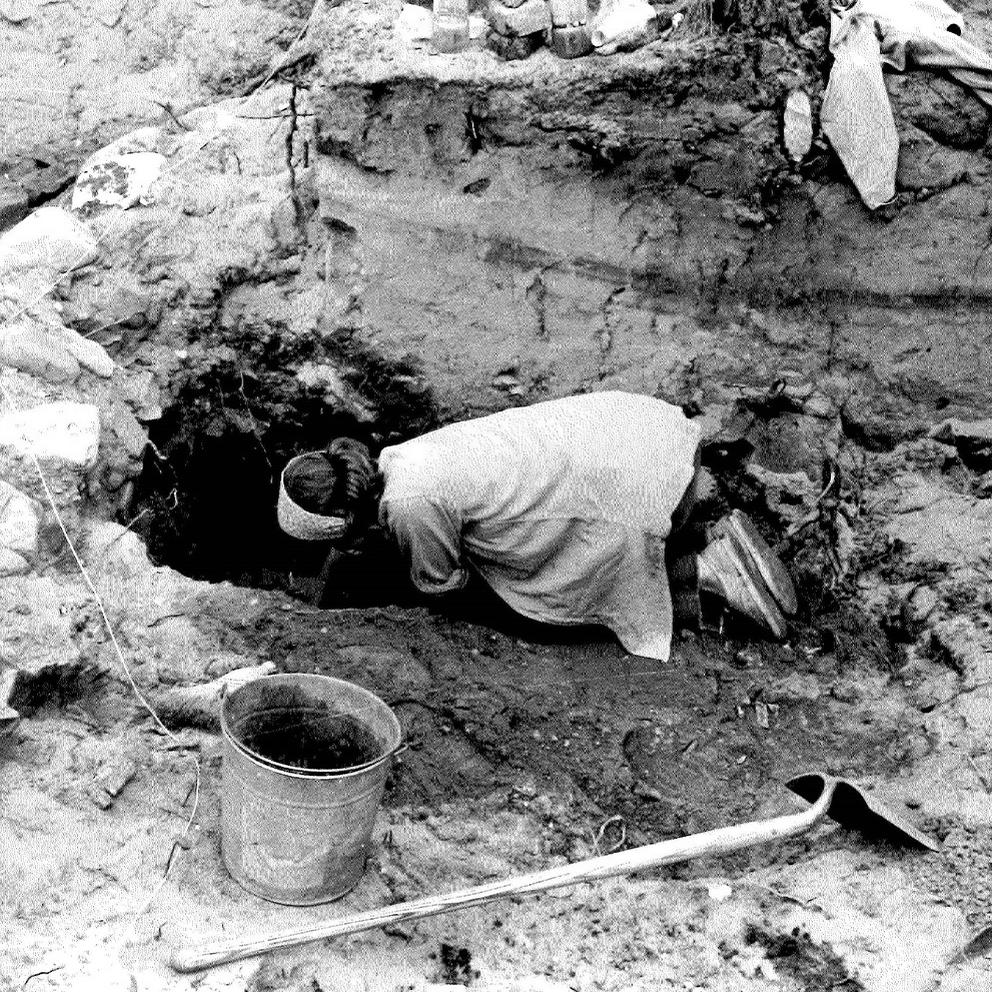 Photograph of a woman leaning into an excavation pit at an archaeological dig.