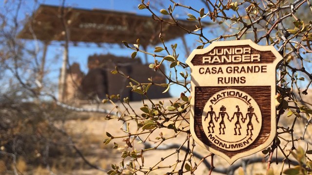 Junior Ranger Badge in creosote with Great House in background. 