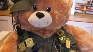 stuffed bear wearing Junior Ranger vest adorned with badges