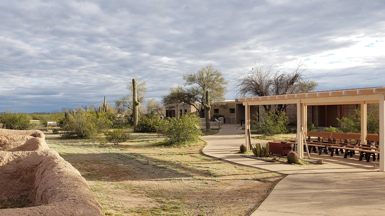 A view of the visitor center building and ramada, with vegetation and cactus