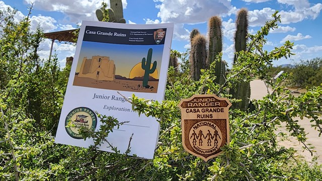A Junior Ranger Badge and Book in creosote with a large adobe structure in the background. 