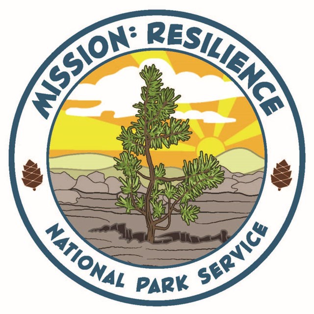 Mission: Resilience Logo