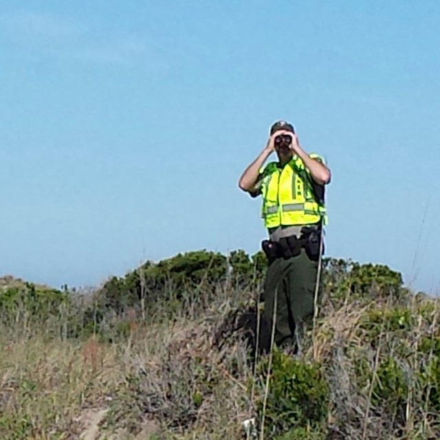 Law Enforcement Ranger at Traffic Checkpoint