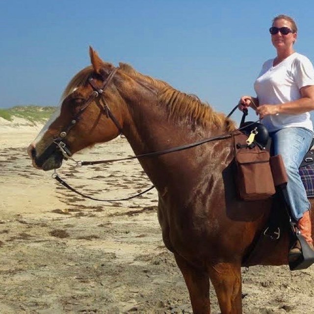 woman riding a horse on the beach