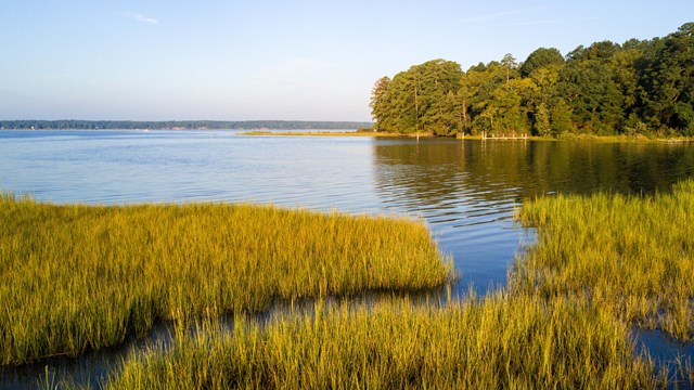 A winding, marshy creek on a sunny day. 