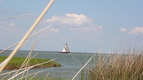 A marsh with a small European style sailing ship in the distance. 