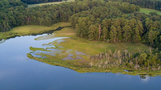 Aerial shot of Werowocomoco's marshes. 