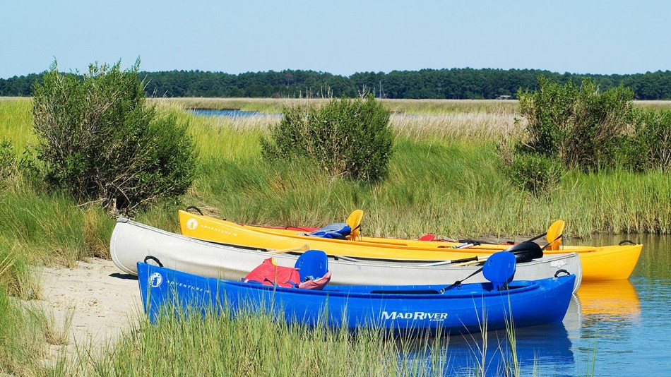 Canoes parked on a sandy beach in a marshy, coastal landscape. 