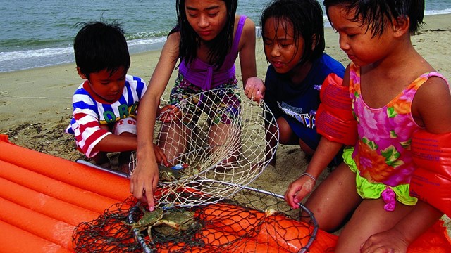 A group of kids at the beach examine a crab they caught in a net. 