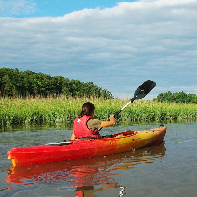 A rack of canoes with a marsh landscape behind. 