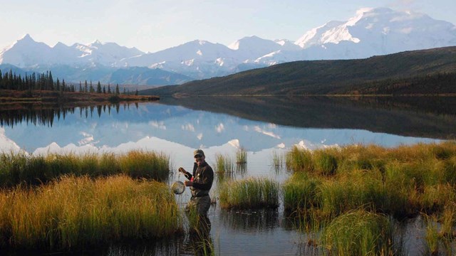 A researcher in a lake collecting samples.