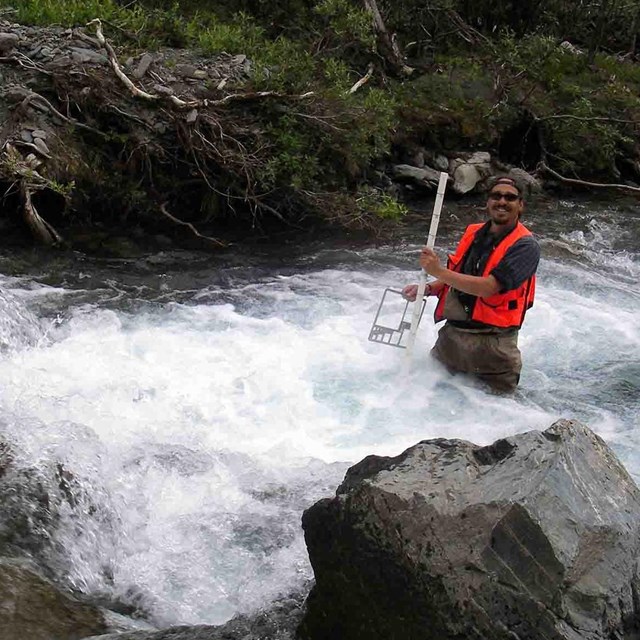 A researcher measuring stream characteristics.