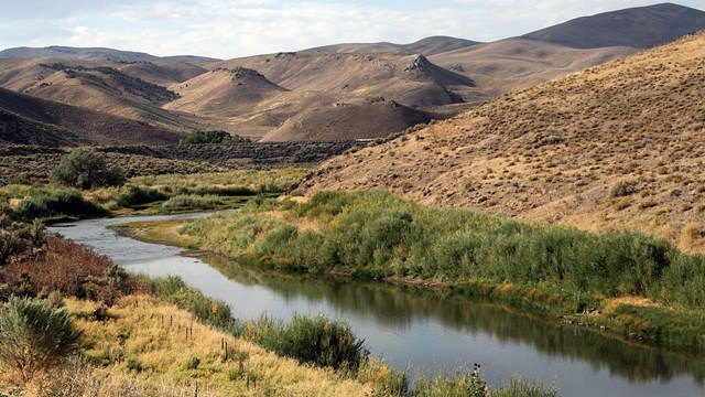 A river with light vegetation, runs through rolling hills covered with brown grass.
