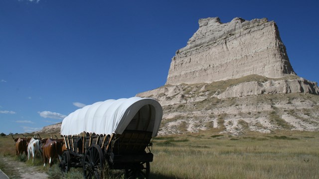 A covered wagon, with oxen, out in front of a tall sandstone bluff.