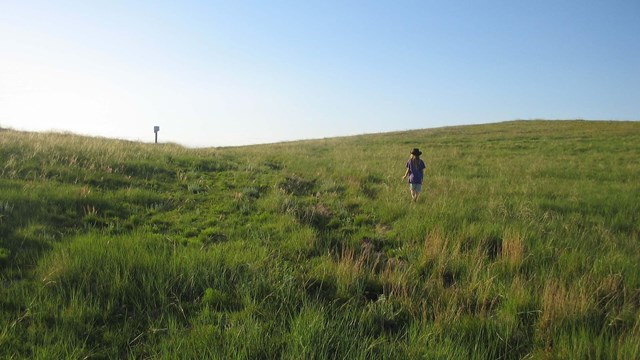 A person wearing a hat walks next to a swale, up a large grassy hill. 