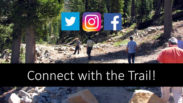 People walk up a dirt road through a forested area.