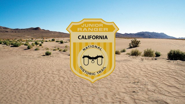 Sand fills the foreground and leads to a vast desert landscape. A junior ranger badge added.