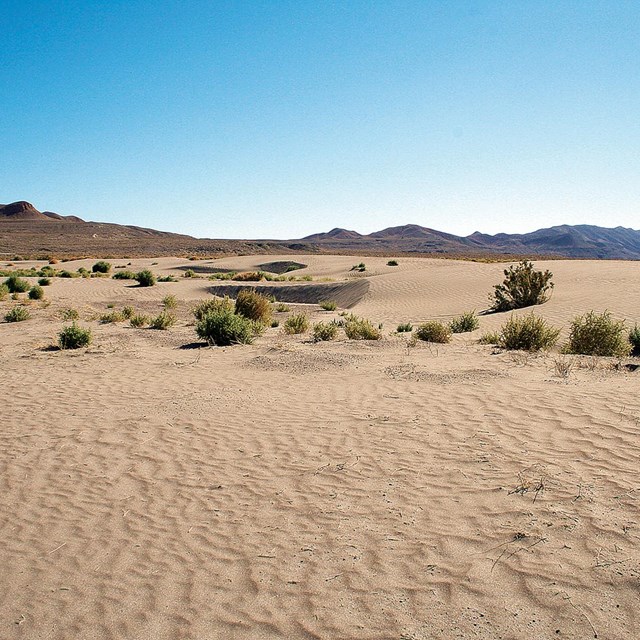 A sandy desert stretches out to a rocky desert setting.