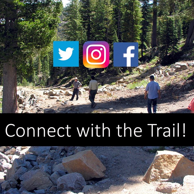 People walk up a dirt road through a forested area.