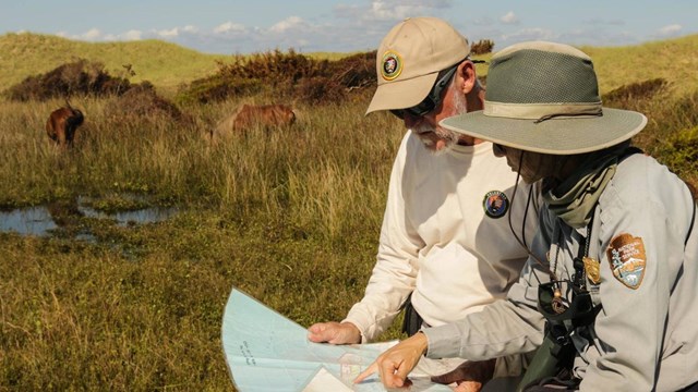 2 people consult a map