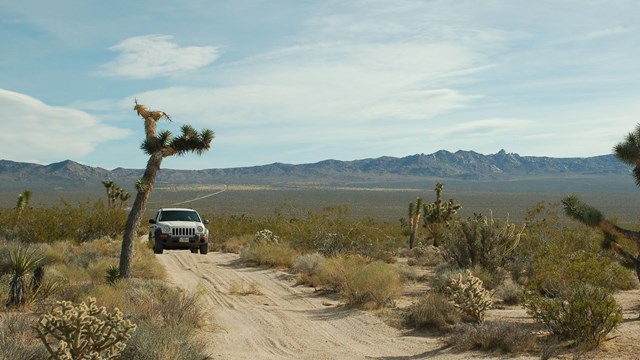 4-wheel drive vehicle on a desert road