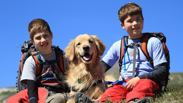Two kids with their golden retriever dog
