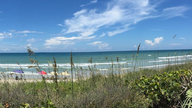 Beach photo with beach umbrellas.