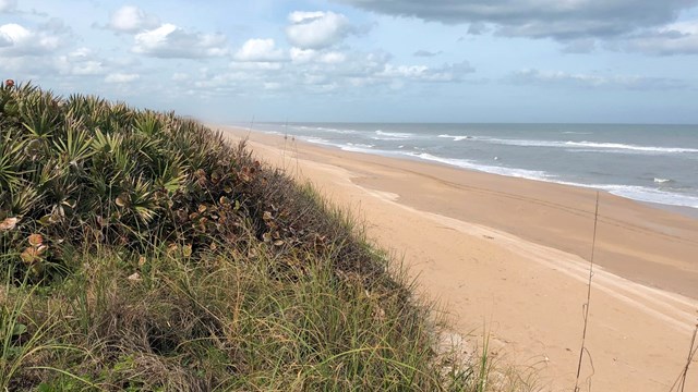 Barrier Island Ecosystems