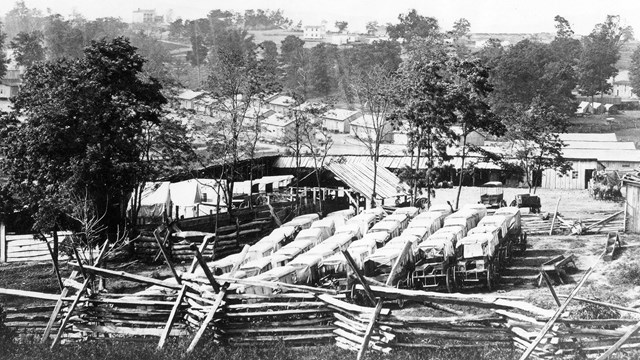Rows of Civil War wagons lined up in a field.