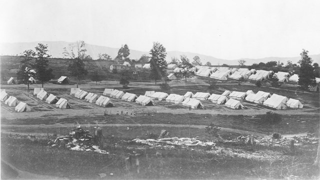 A row of white tents in a large field