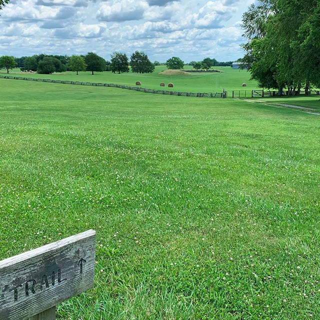 Many of the park trails traverse open green spaces that once were the grounds of Camp Nelson