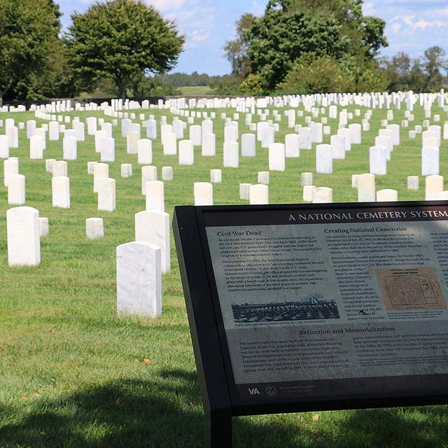 A cemetery with uniform, white headstones stretches to the horizon