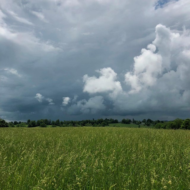 Dark swirling clouds over a lush field