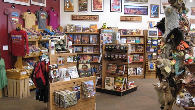 shelves with books, and gifts