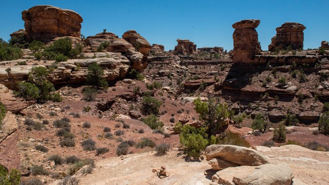 red-brown sandstone pillars and cliffs beneath blue sky