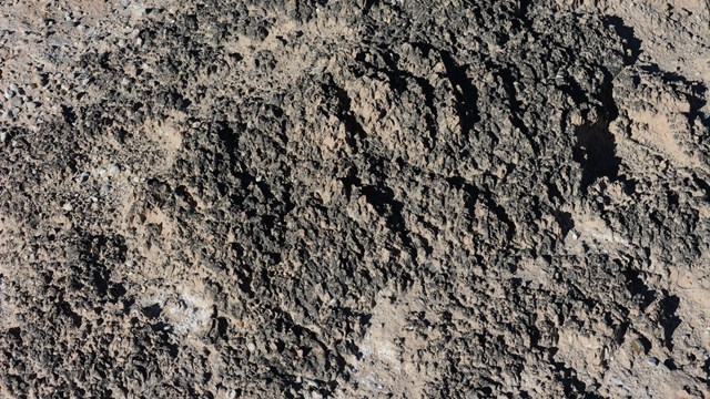 Bumpy black crust covering ground, with a few grasses mixed in. 