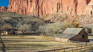 Pendelton Barn and Gifford House below Fruita's Wingate Sandstone Cliffs