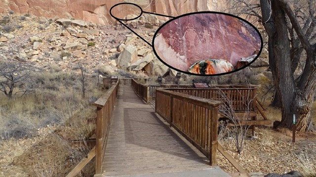 Wooden boardwalk facing a reddish rock wall, with a circle showing where the images ares.