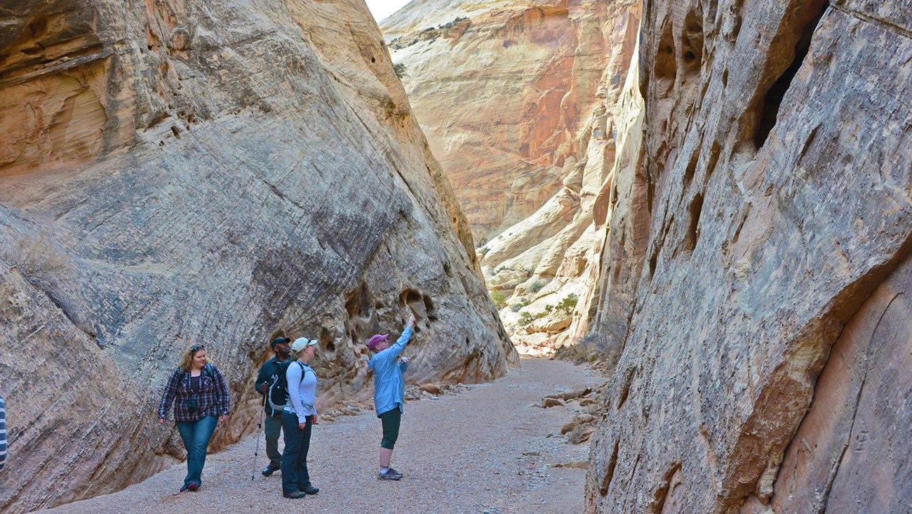 Hikers looking at the rock walls on the Capitol Gorge trail