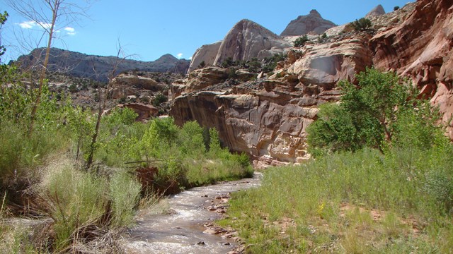 Sparkling river with green banks, colorful cliffs nearby, and blue sky above. 