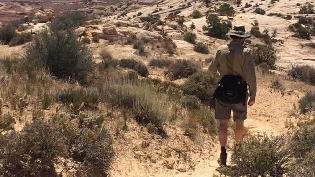 Hiker walking along a dirt trail, with desert and mountains views.