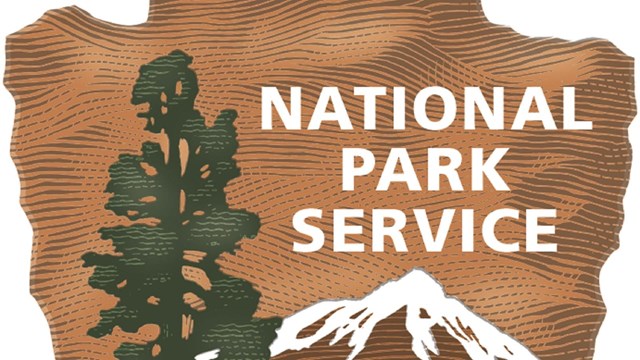 Brown arrowhead with National Park Service, bison, tree, mountain, water, grass on it. 