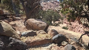 Stone steps on a hiking trail. 