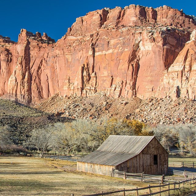 Pendelton Barn and Gifford House below Fruita's Wingate Sandstone Cliffs