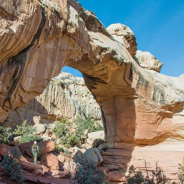 A hiker standing under Hickman Natural Bridge